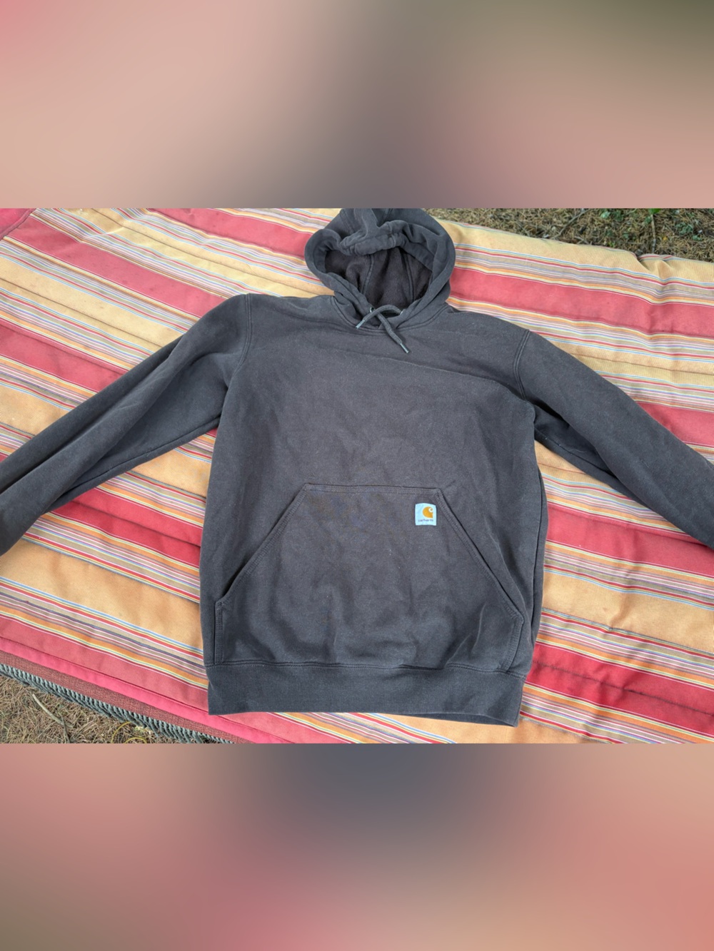 Carhartt Men's Chocolate brown Hooded Work Sweatshirt